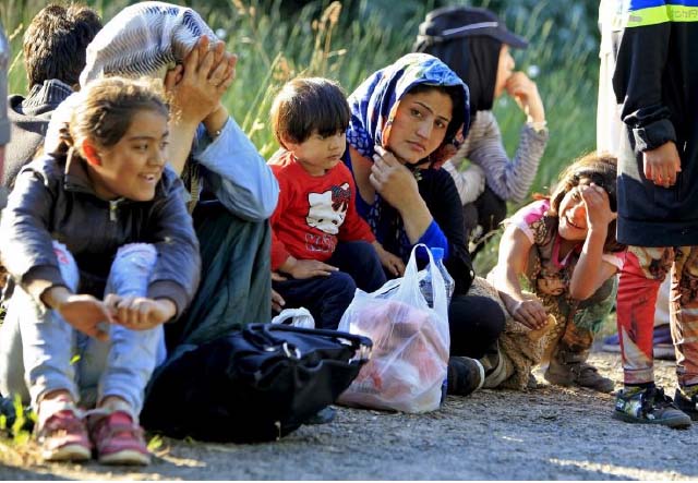120,000 Afghans Seek Asylum in 44 Countries: UNHCR